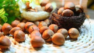 روغن فندوق برای تقویت مو و درمان طاسی