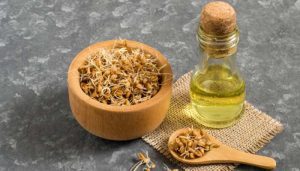 6 خواص روغن جوانه گندم که نباید از دست بدهید!