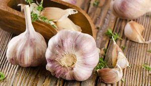 فواید سیر برای لاغری
