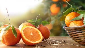معجزه خواص پرتقال برای سلامتی و جوان سازی پوست