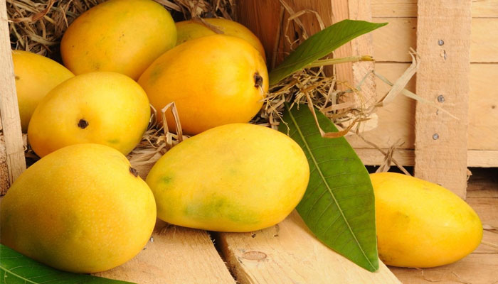 عوارض جانبی انبه چیست؟