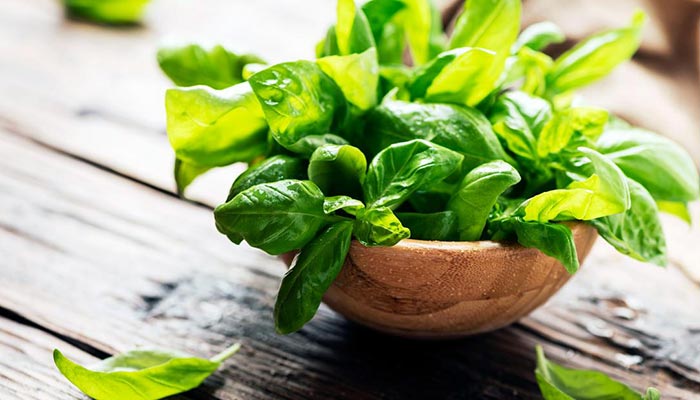 خواص ریحان برای سلامتی