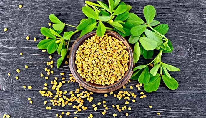 معجزه شنبلیله برای درمان بیماری ها و کاهش وزن