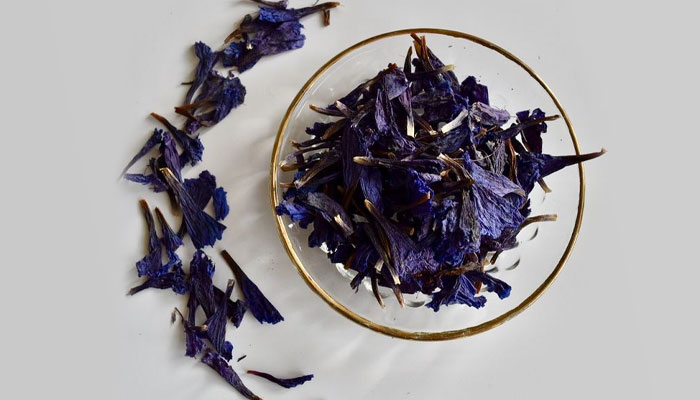 فواید گیاه گل گاوزبان برای سلامتی